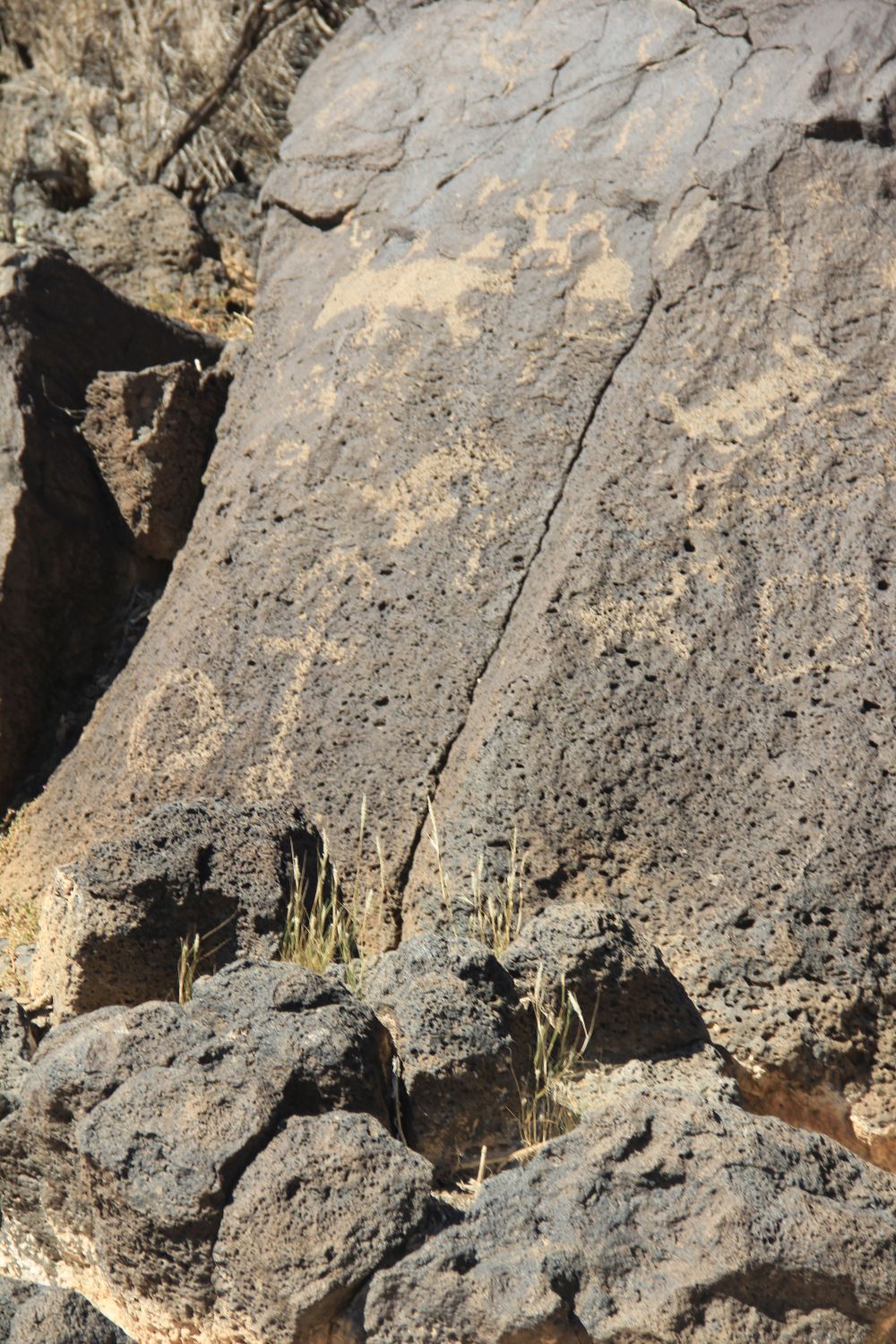 Petroglyph National Monument 